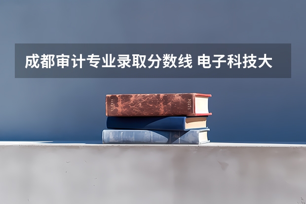 成都审计专业录取分数线 电子科技大学成都学院录取线