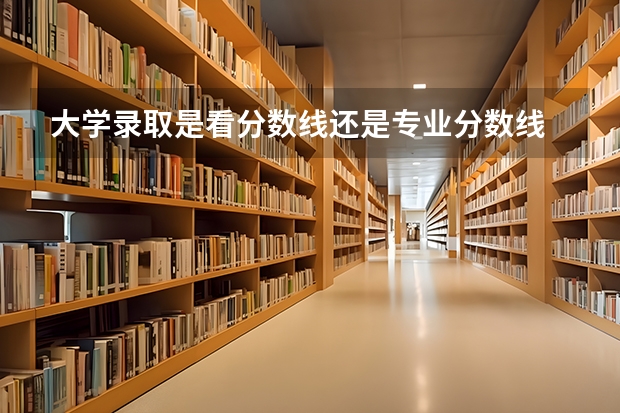 大学录取是看分数线还是专业分数线 我国哪3所“末流985”大学，分数线较低，适合高考生捡漏？