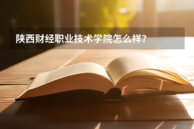 陕西财经职业技术学院怎么样？