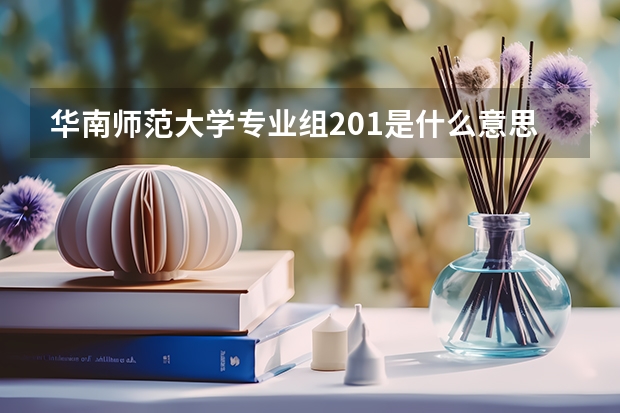 华南师范大学专业组201是什么意思