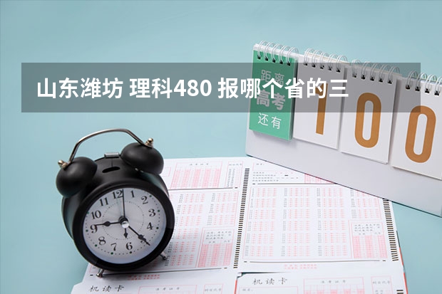 山东潍坊 理科480 报哪个省的三本学院有把握？