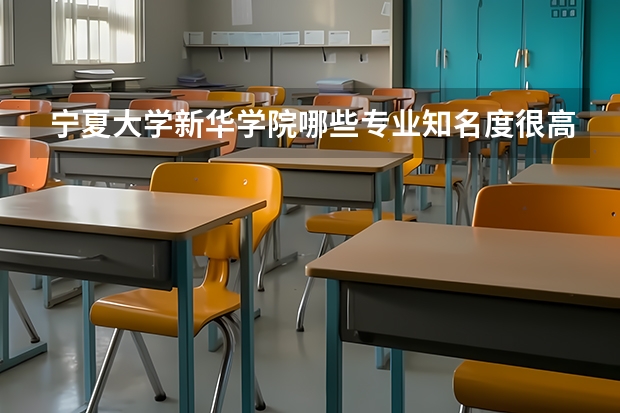 宁夏大学新华学院哪些专业知名度很高？