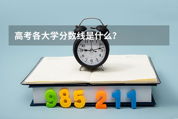 高考各大学分数线是什么？