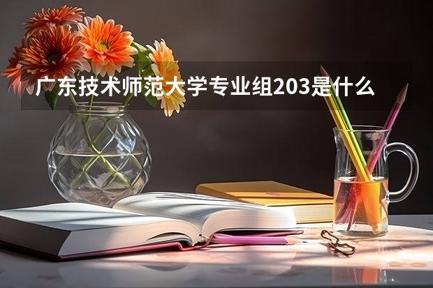 广东技术师范大学专业组203是什么意思？