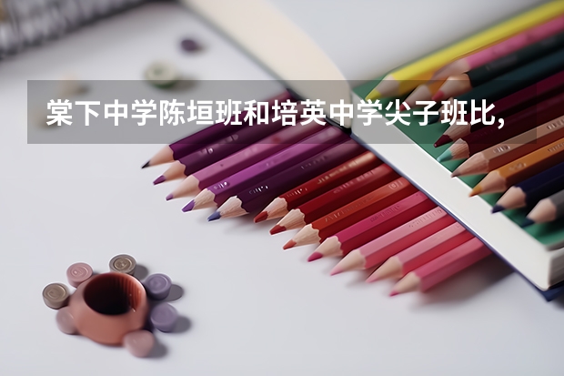 棠下中学陈垣班和培英中学尖子班比,哪个好点