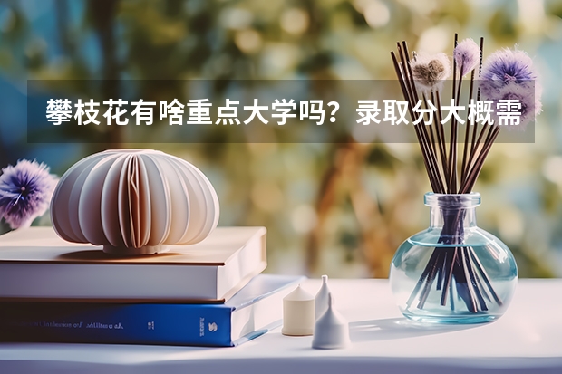 攀枝花有啥重点大学吗？录取分大概需要多少 ？要是有的话给我说说名字啊