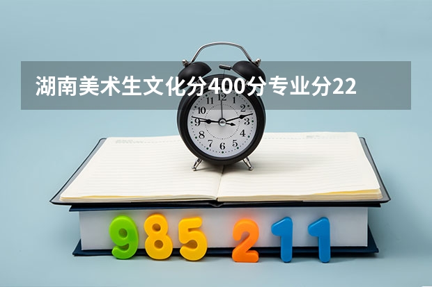 湖南美术生文化分400分专业分220分能上湖南师范大学吗