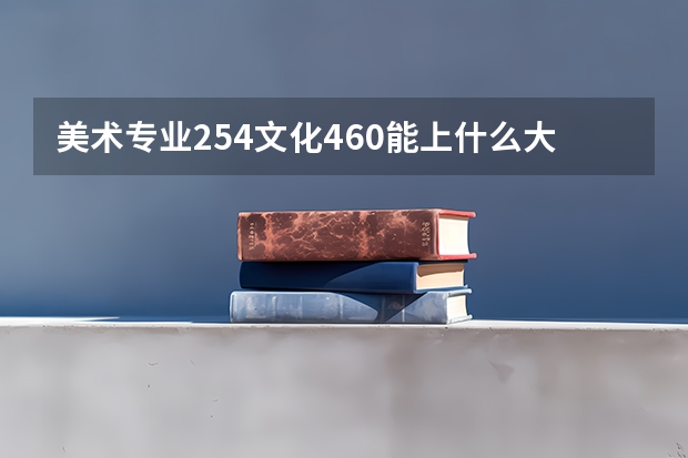 美术专业254文化460能上什么大学