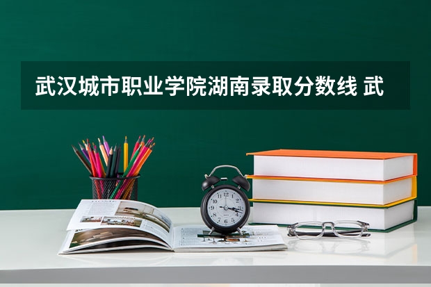 武汉城市职业学院湖南录取分数线 武汉城市职业学院湖南招生人数