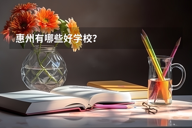 惠州有哪些好学校？