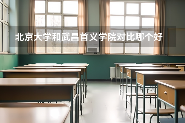 北京大学和武昌首义学院对比哪个好