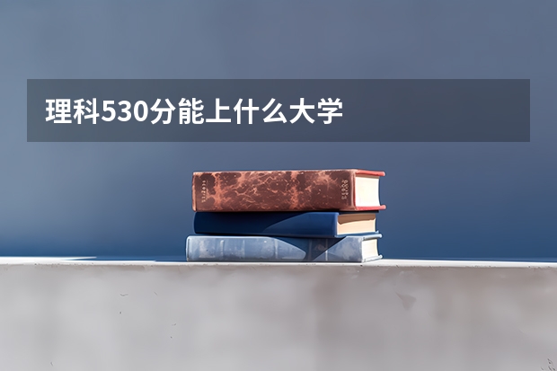 理科530分能上什么大学