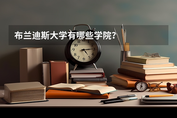 布兰迪斯大学有哪些学院？