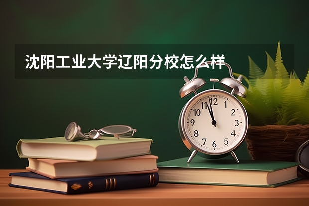 沈阳工业大学辽阳分校怎么样