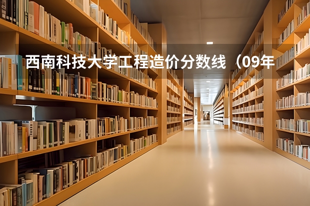 西南科技大学工程造价分数线（09年西南科技大学调档分数线）