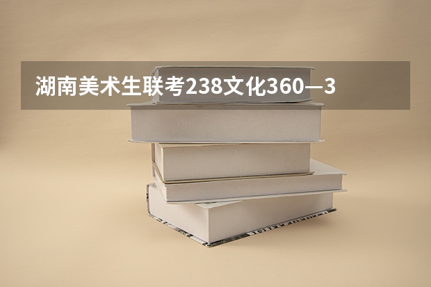 湖南美术生联考238文化360—370 可以报省内省外什么学校